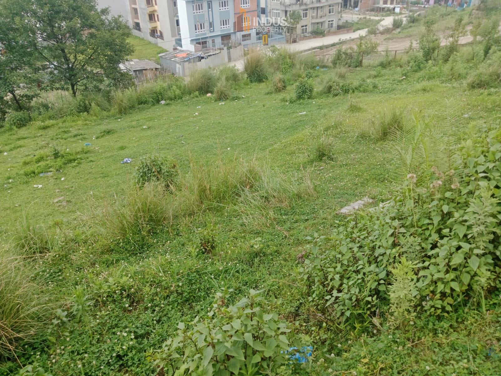 property-image